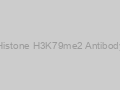 Histone H3K79me2 Antibody